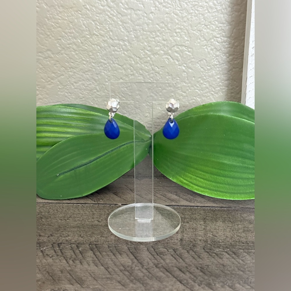 Vintage Blue Screw Back Earrings